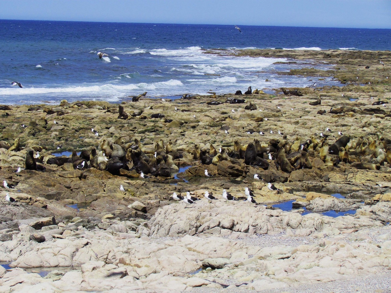 PARQUE NACIONAL ISLOTE LOBOS
