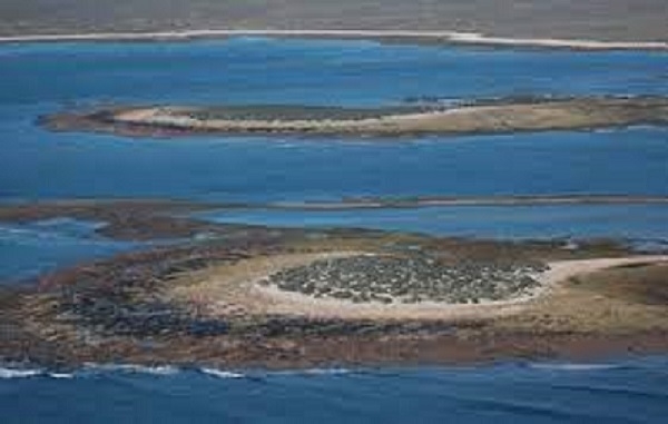 PARQUE NACIONAL ISLOTE LOBOS-2
