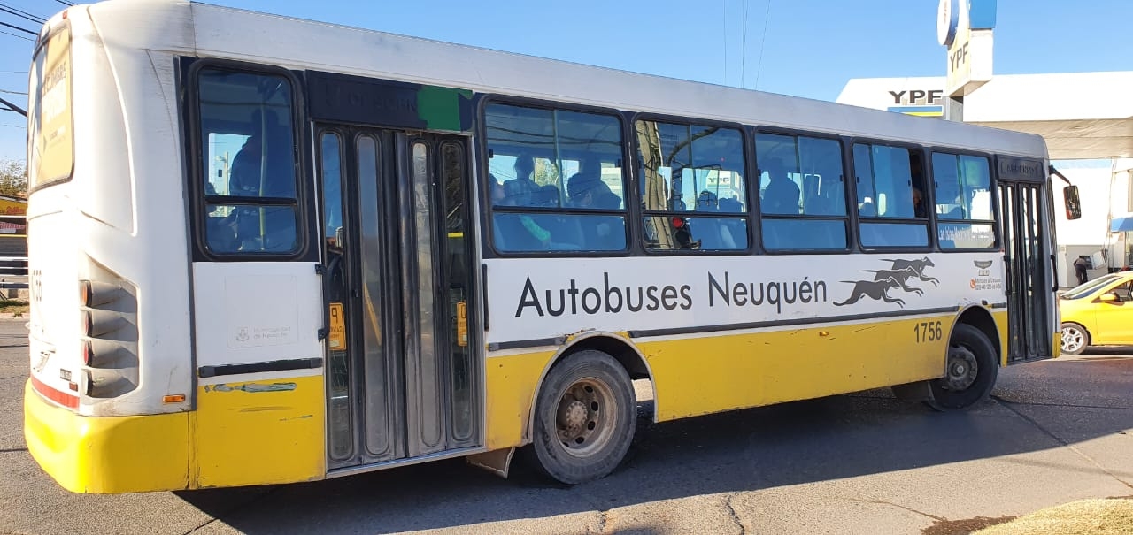 Transporte público Neuquén (3)