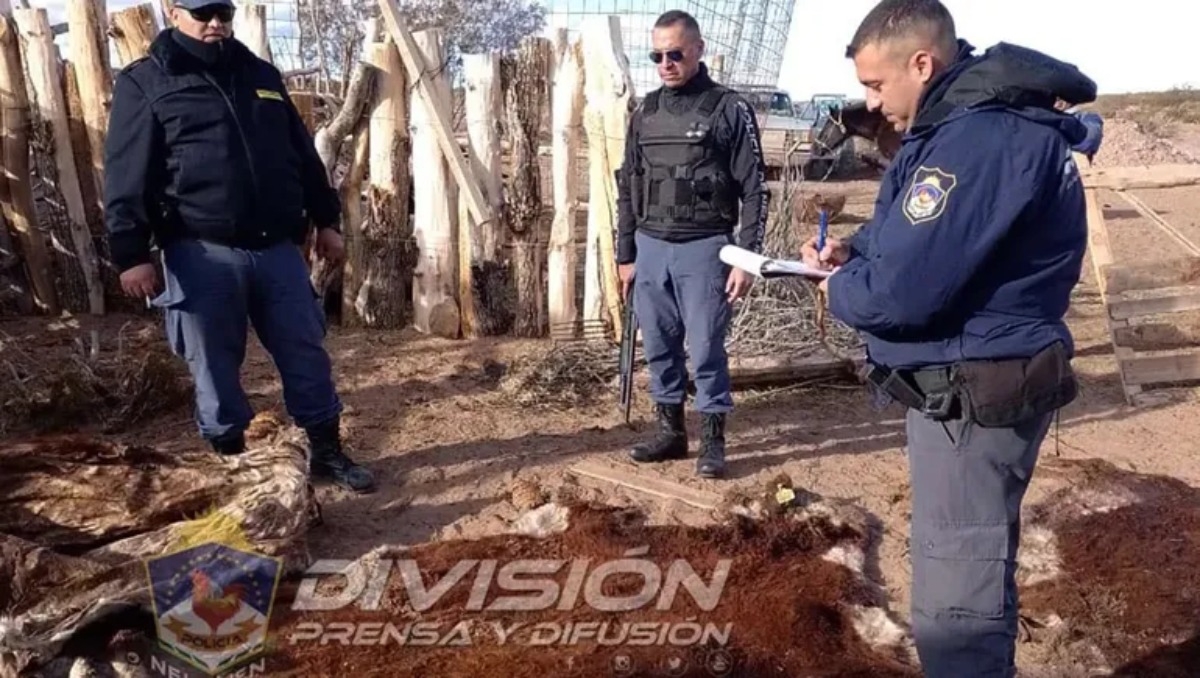 Operativo Policía Neuquén (1)