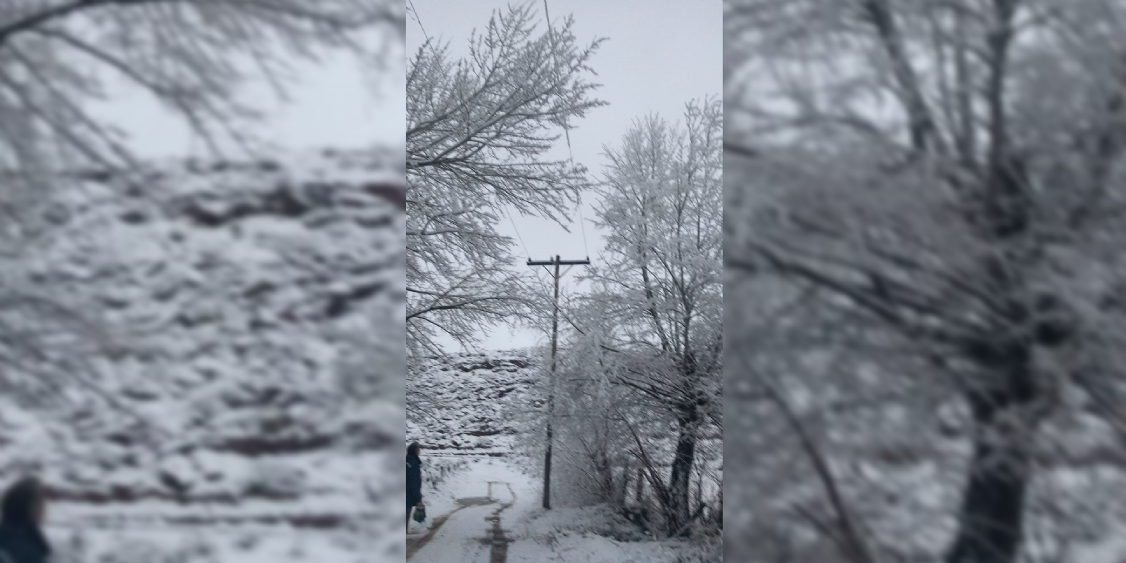 epen nieve