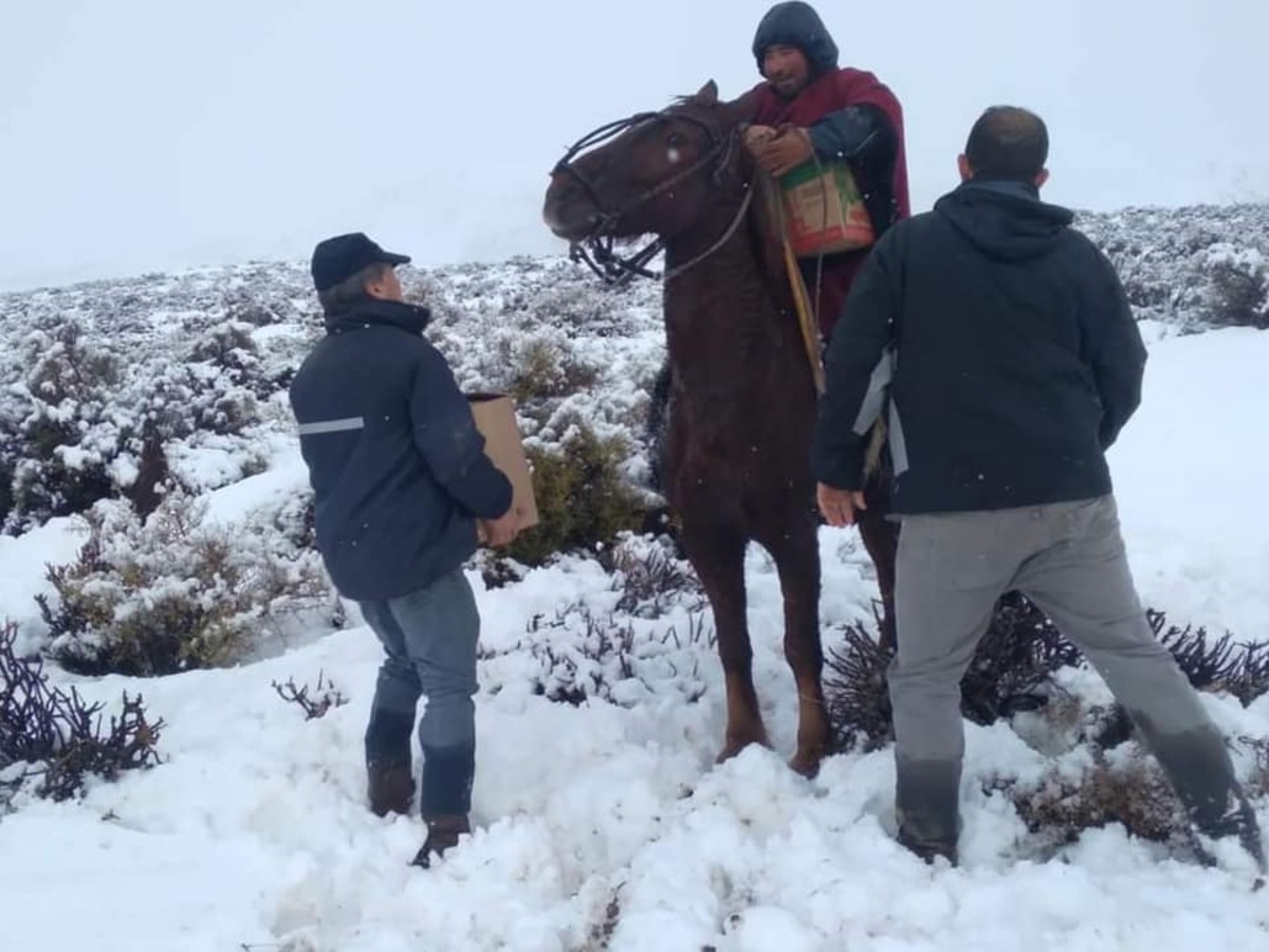El Cholar Policía de Neuquén 1