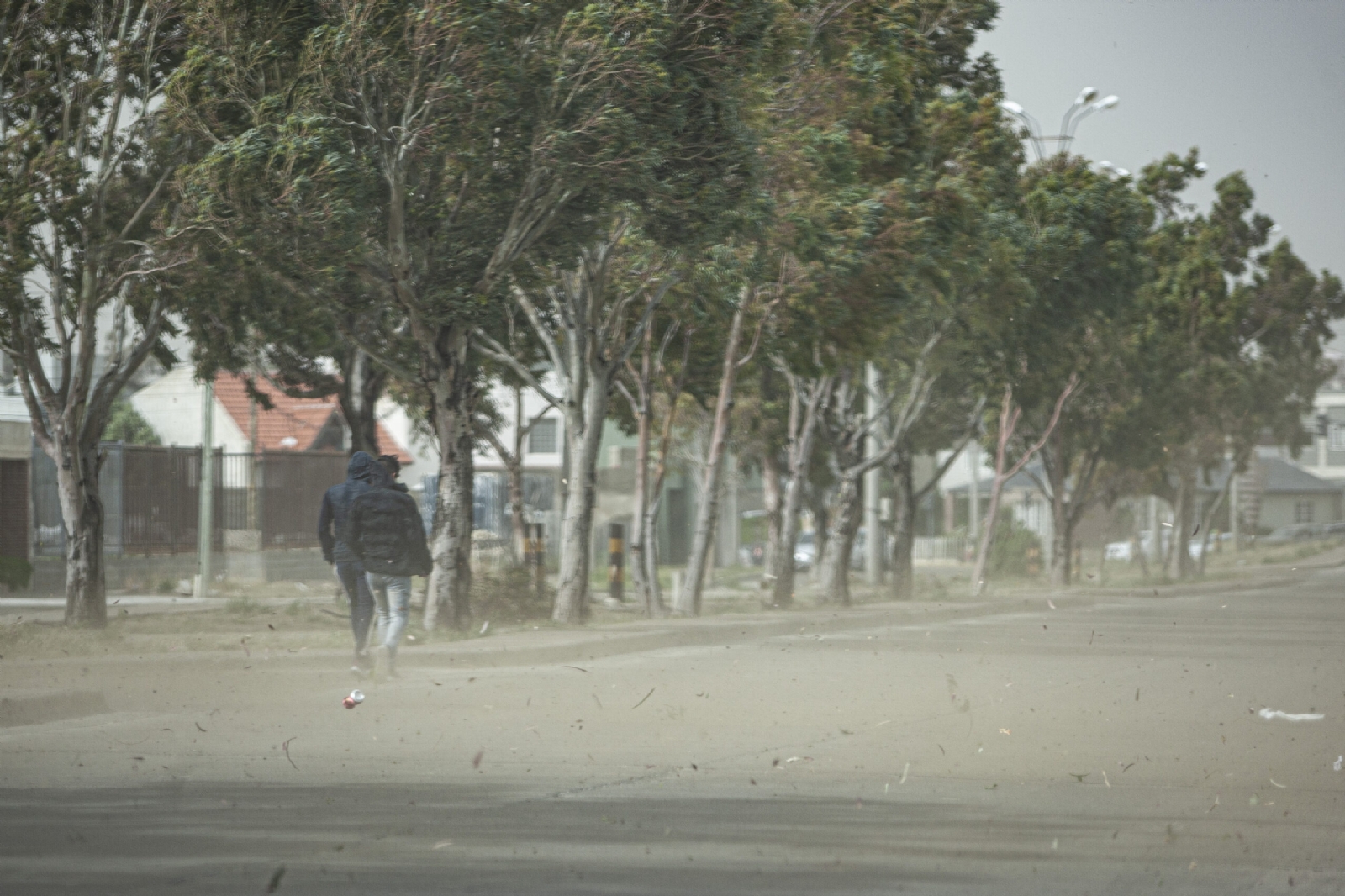 Viento Neuquén