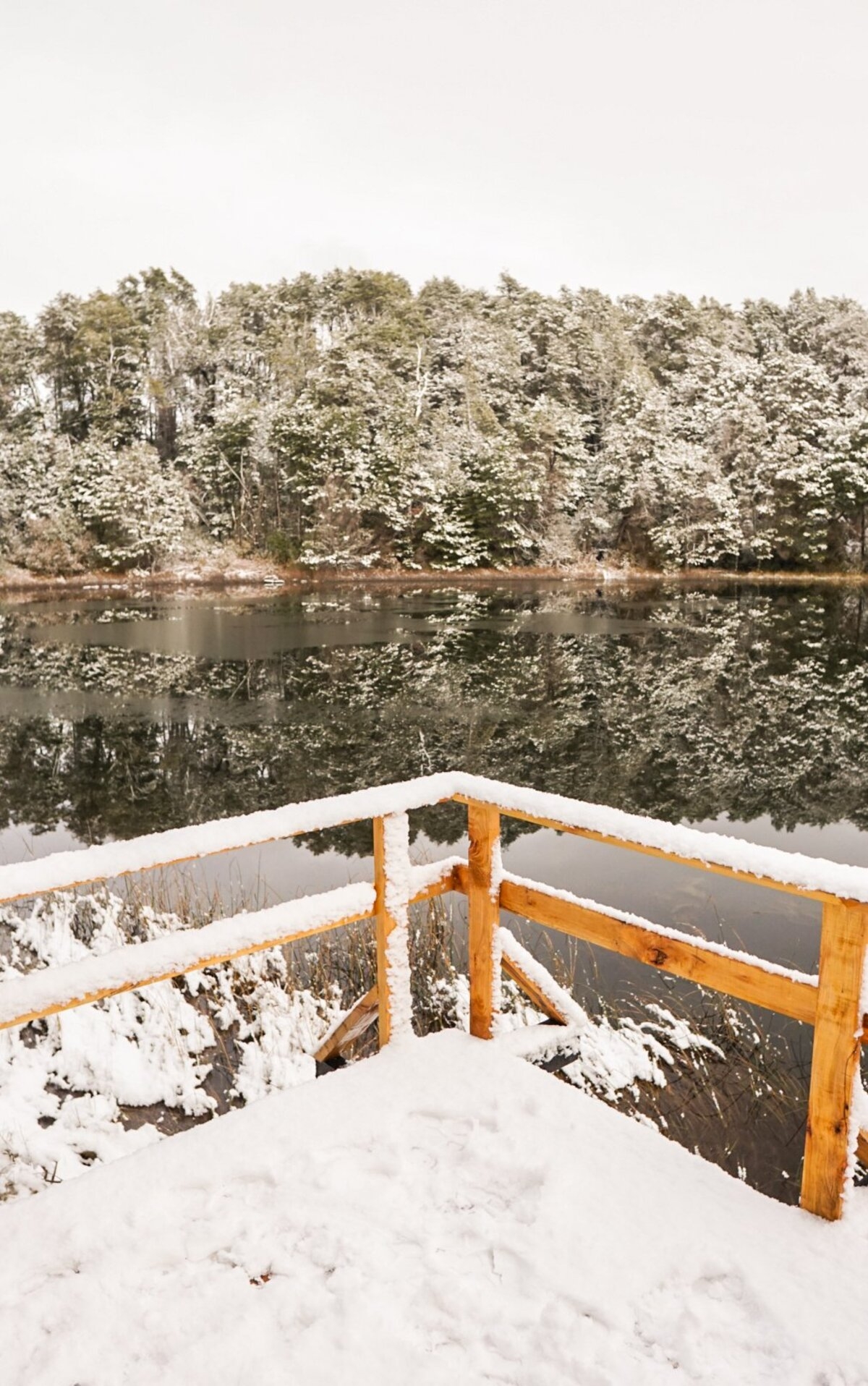 villa la angostura nieve 2