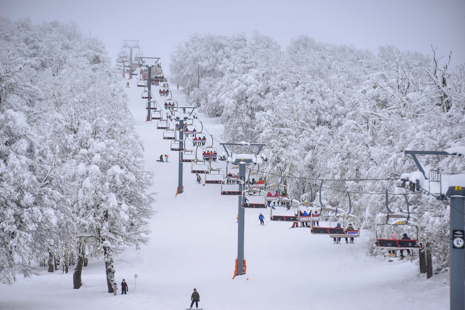 chapelco 3