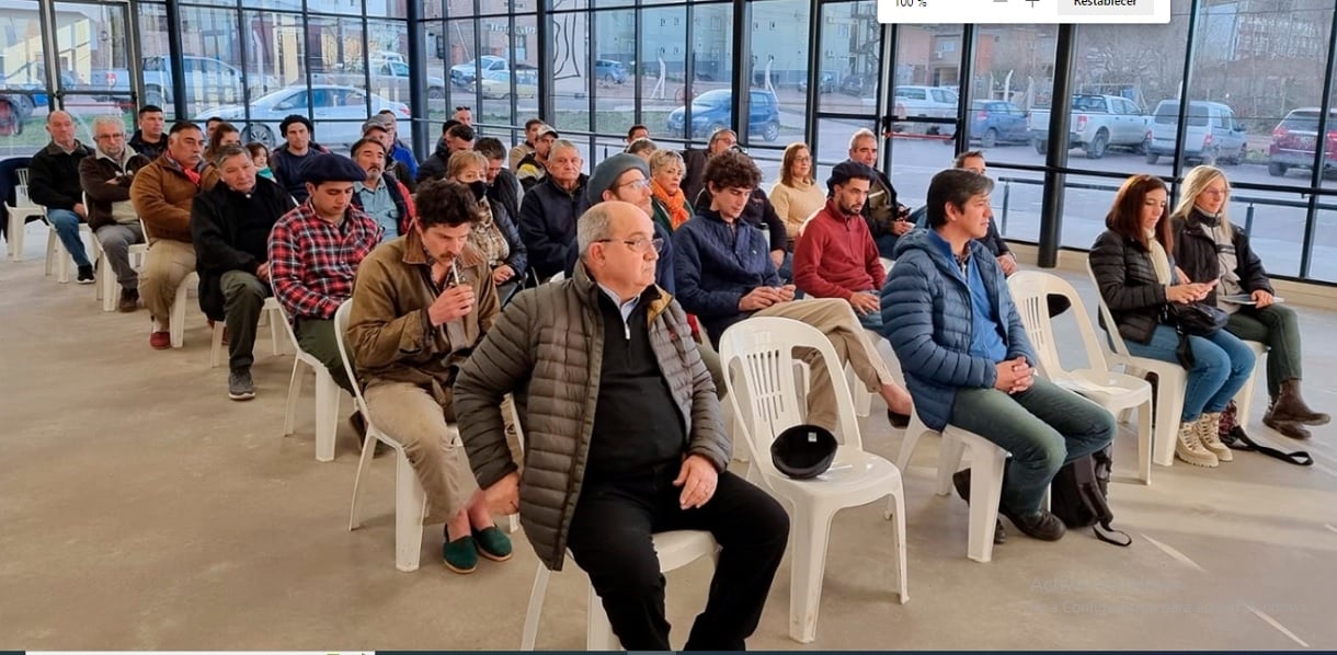 relanzaron camara productores añelo
