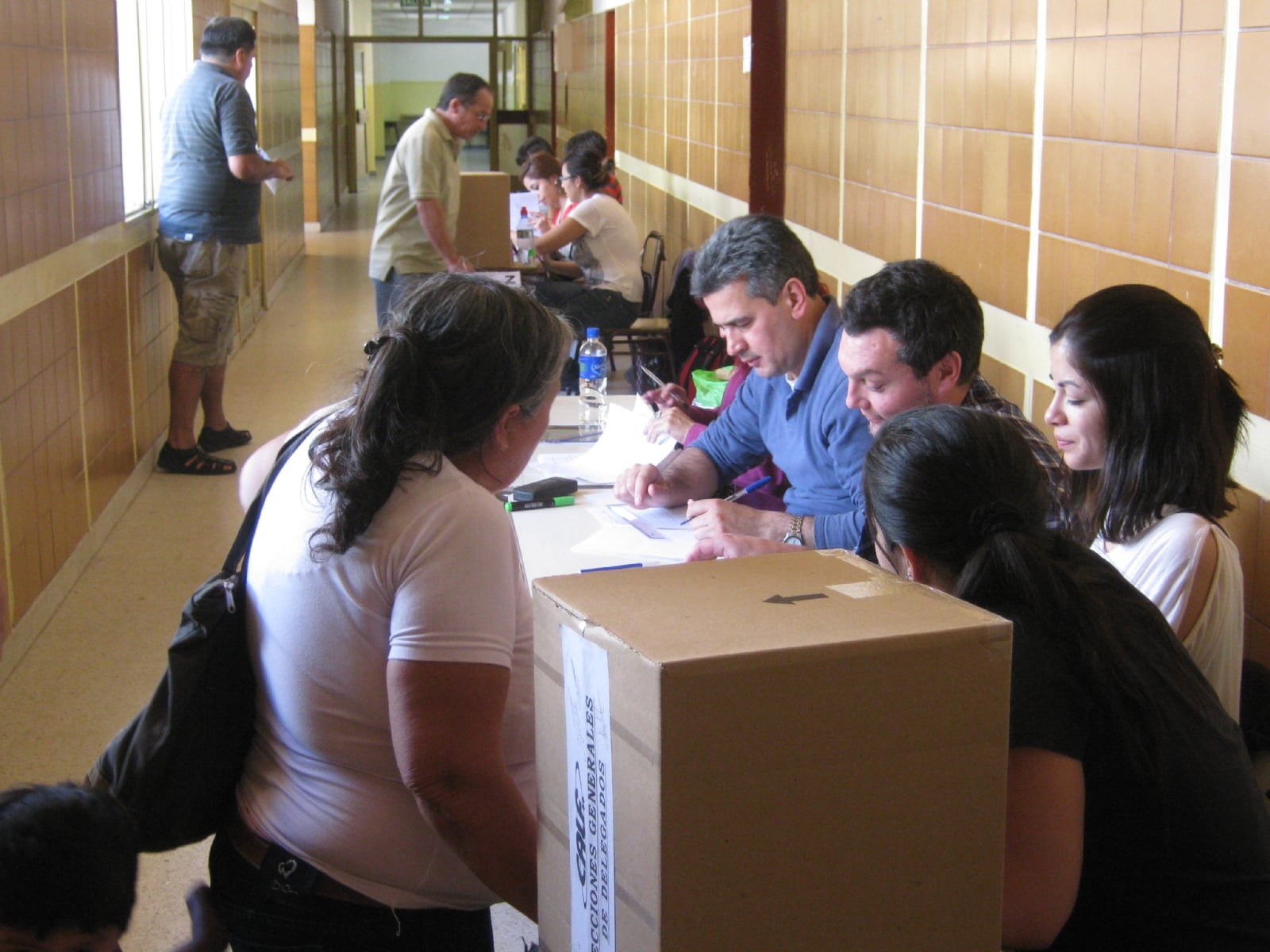 elecciones calf