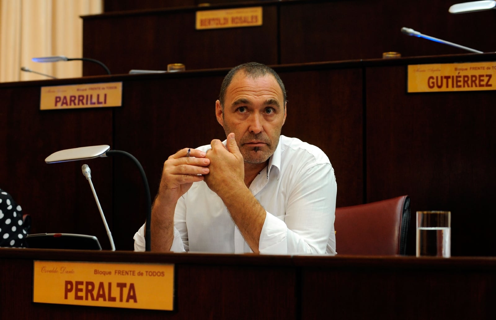 dario peralta 3 - Legislatura Neuquén