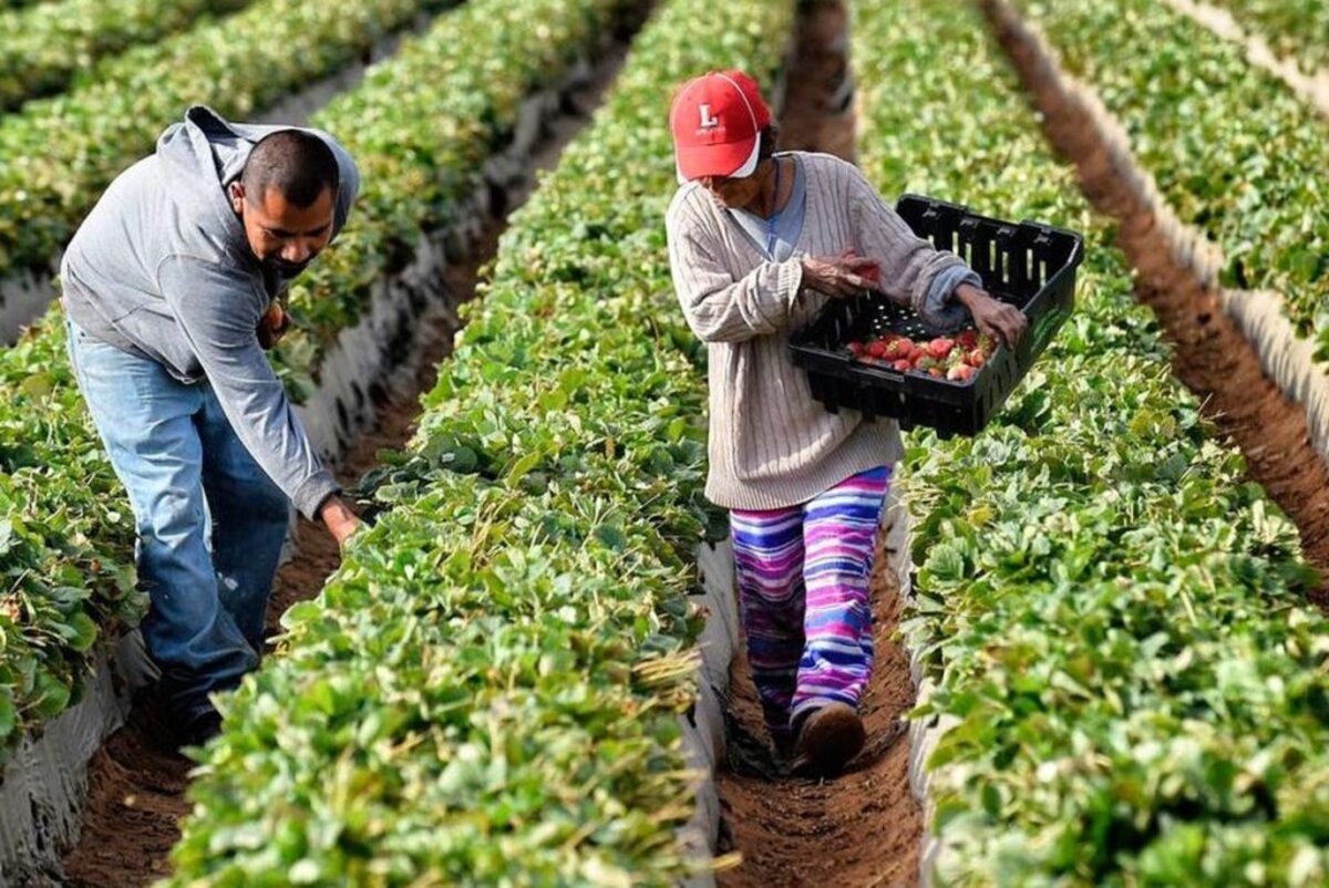 Huerta Agroecológica