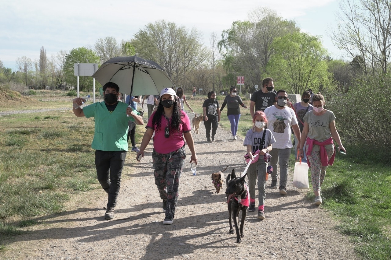 evento perros nqn - facebook 4