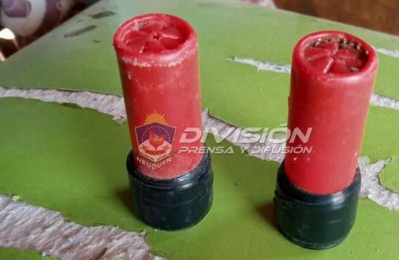 Policía de Neuquén (1)