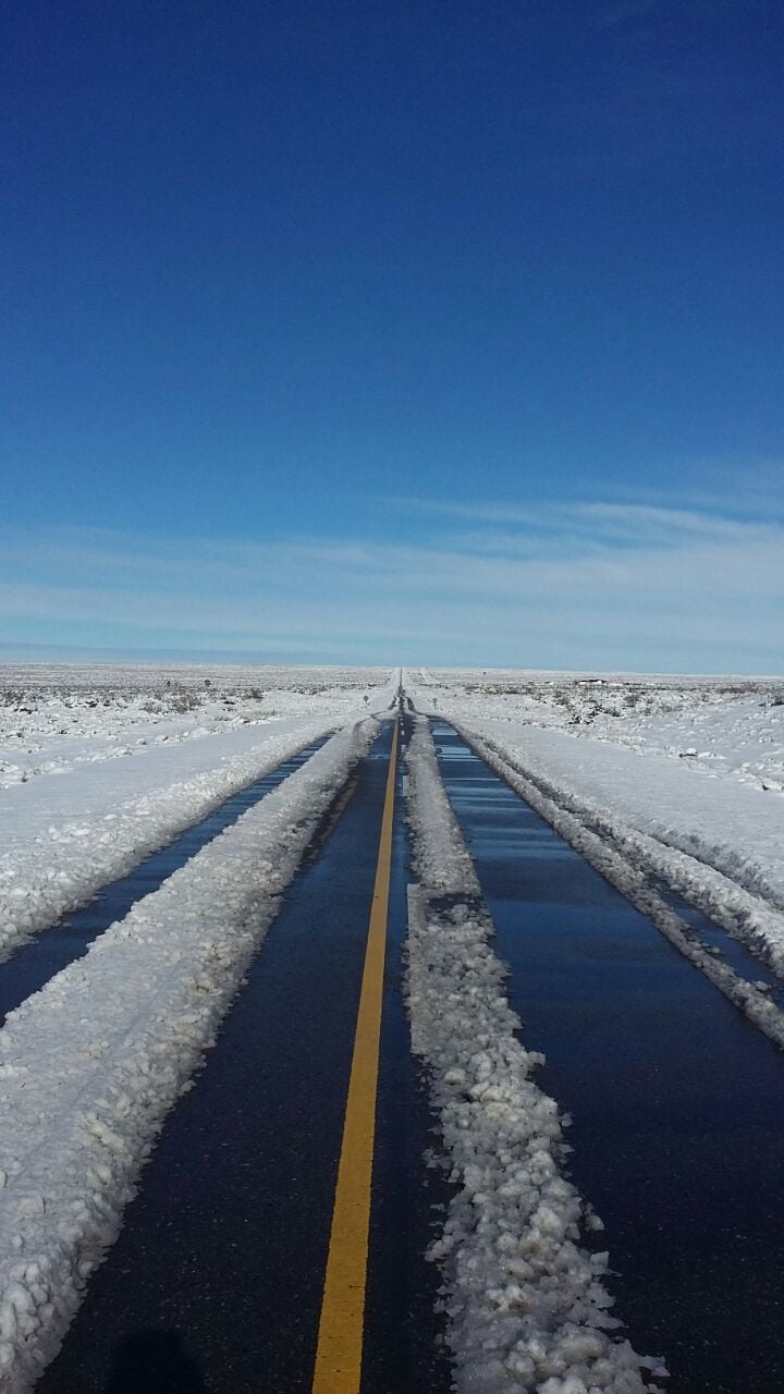 ruta