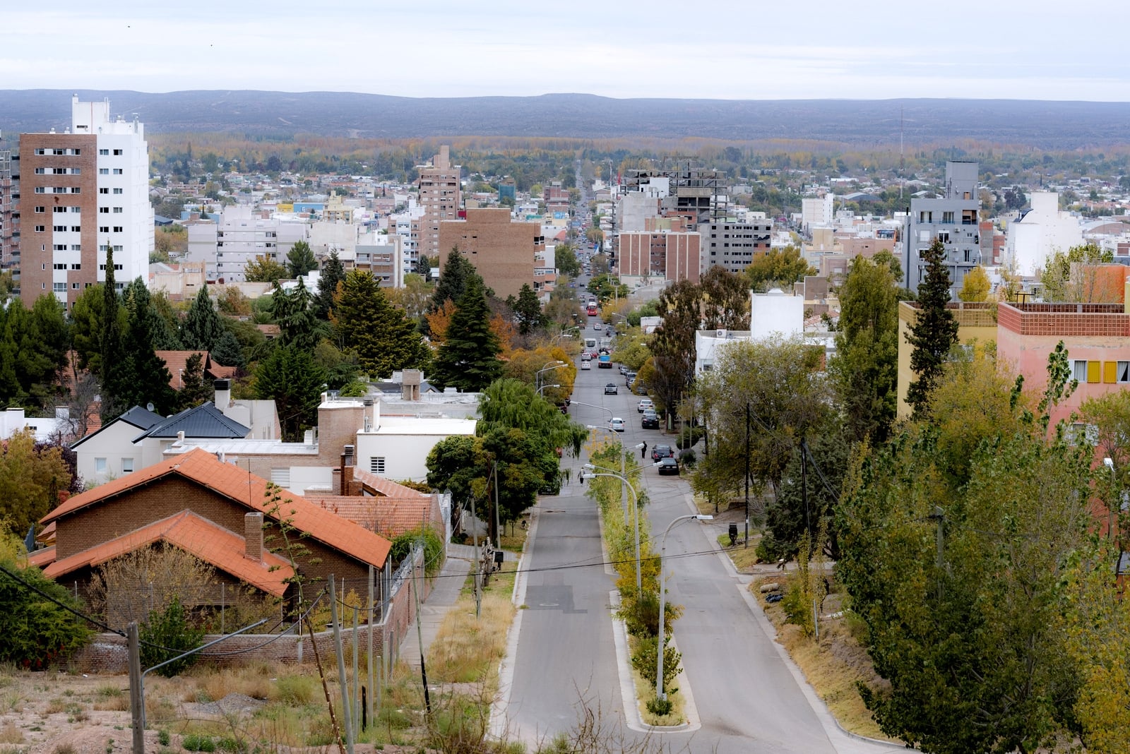 DSC_8161copia