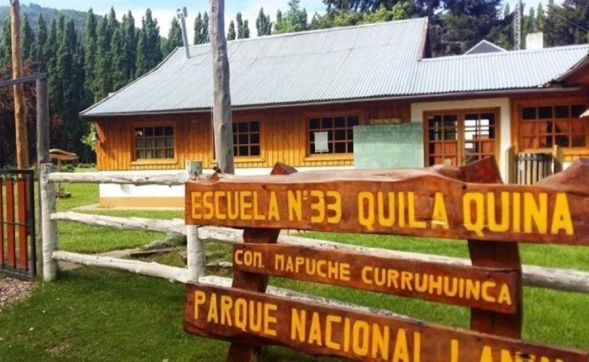 escuela quila quina