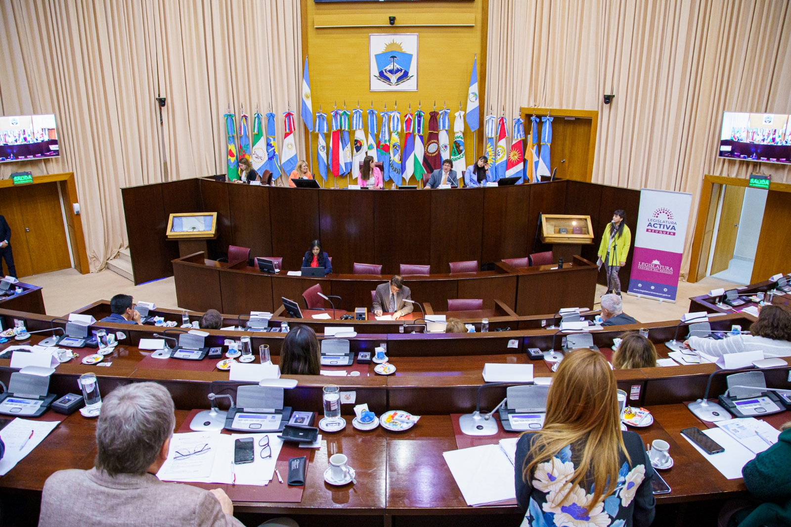 cambio climatico - Legislatura Neuquén 3