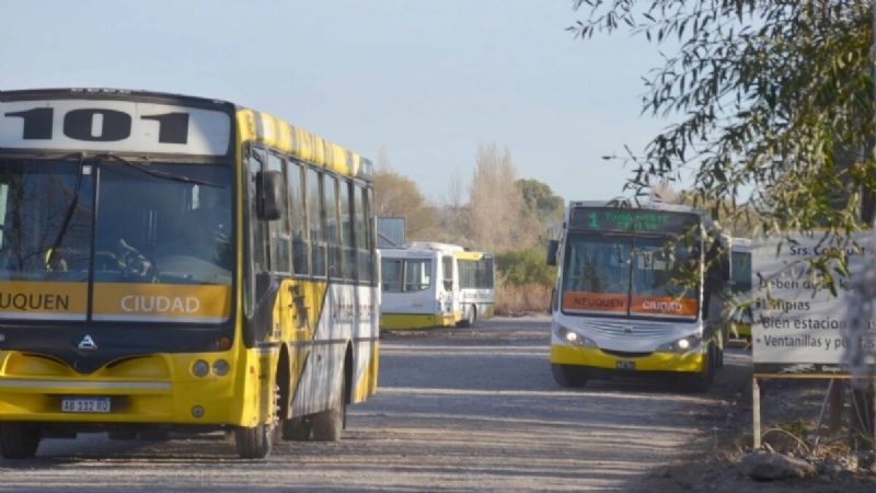 transporte publico nqn 6 facebook