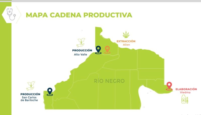 cannabis rio negro - INTA 2