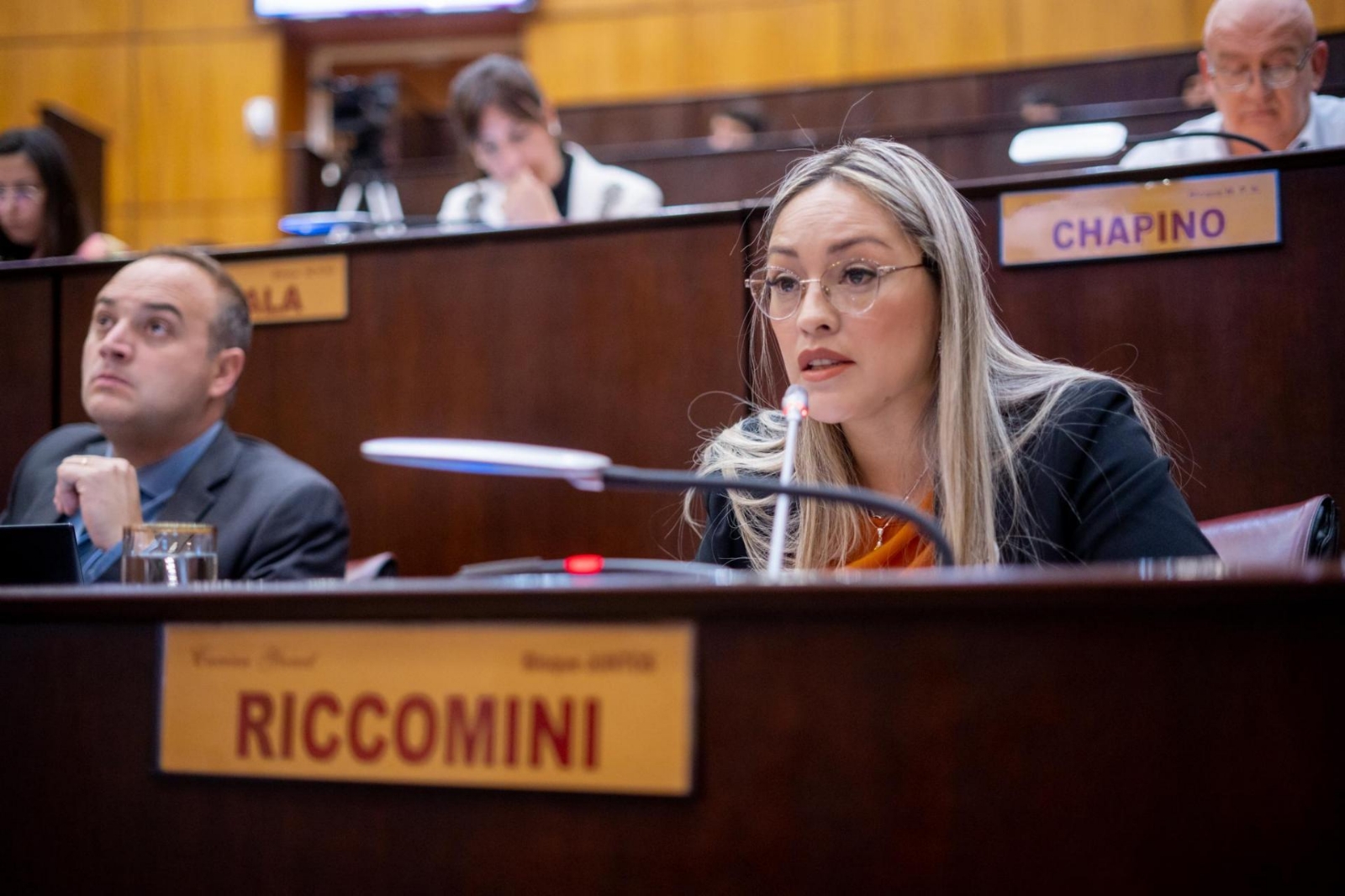 diputada provincial de Juntos Carina Riccomini