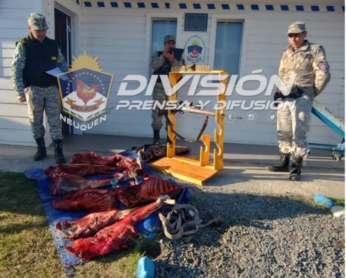 cazadores furtivos junin de los andes (1)