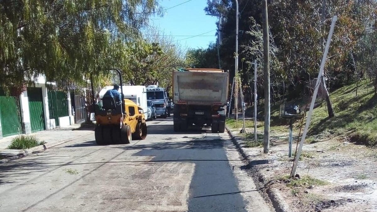 baches - Twitter 2