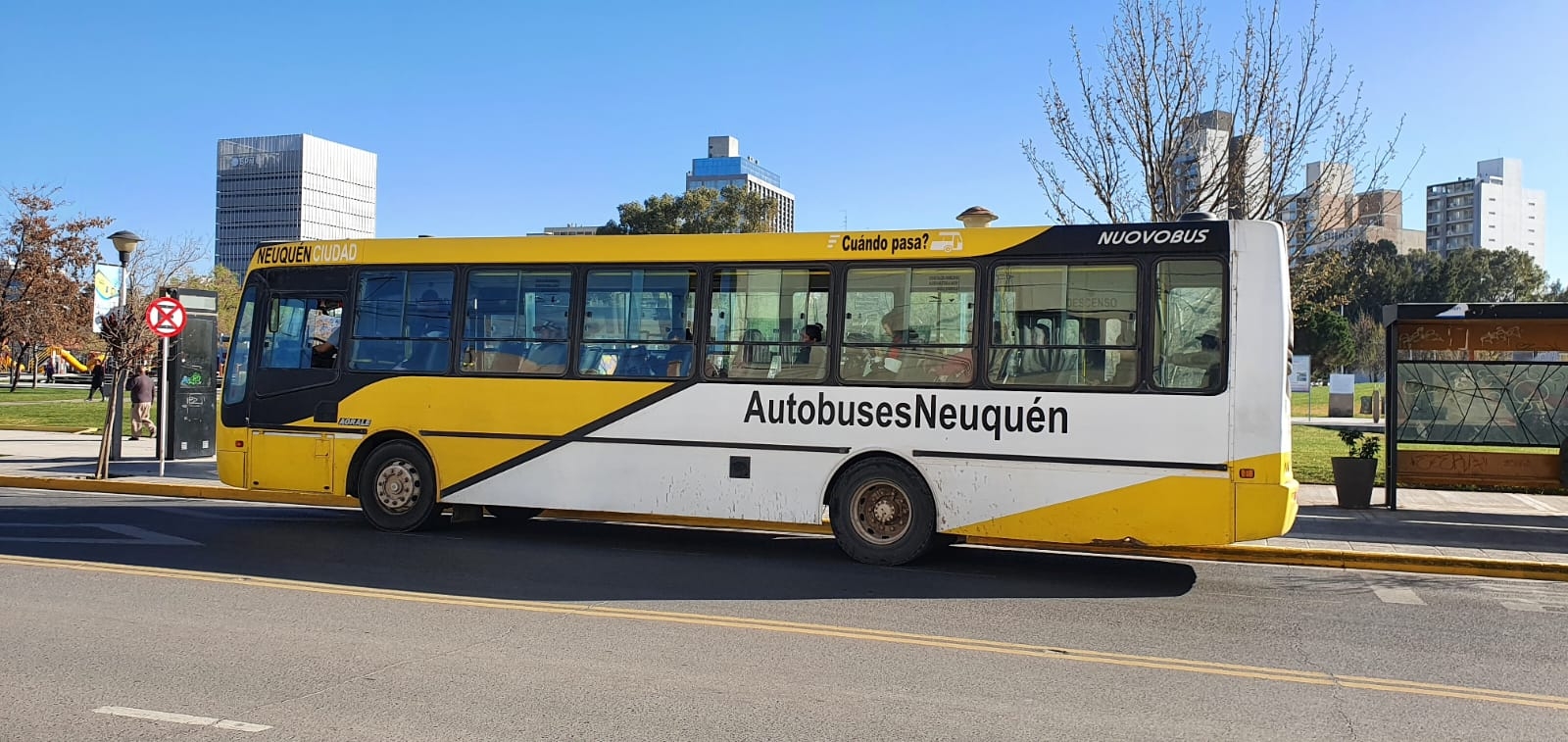 Autobuses Neuquén Fuente Javier Manzano (2)