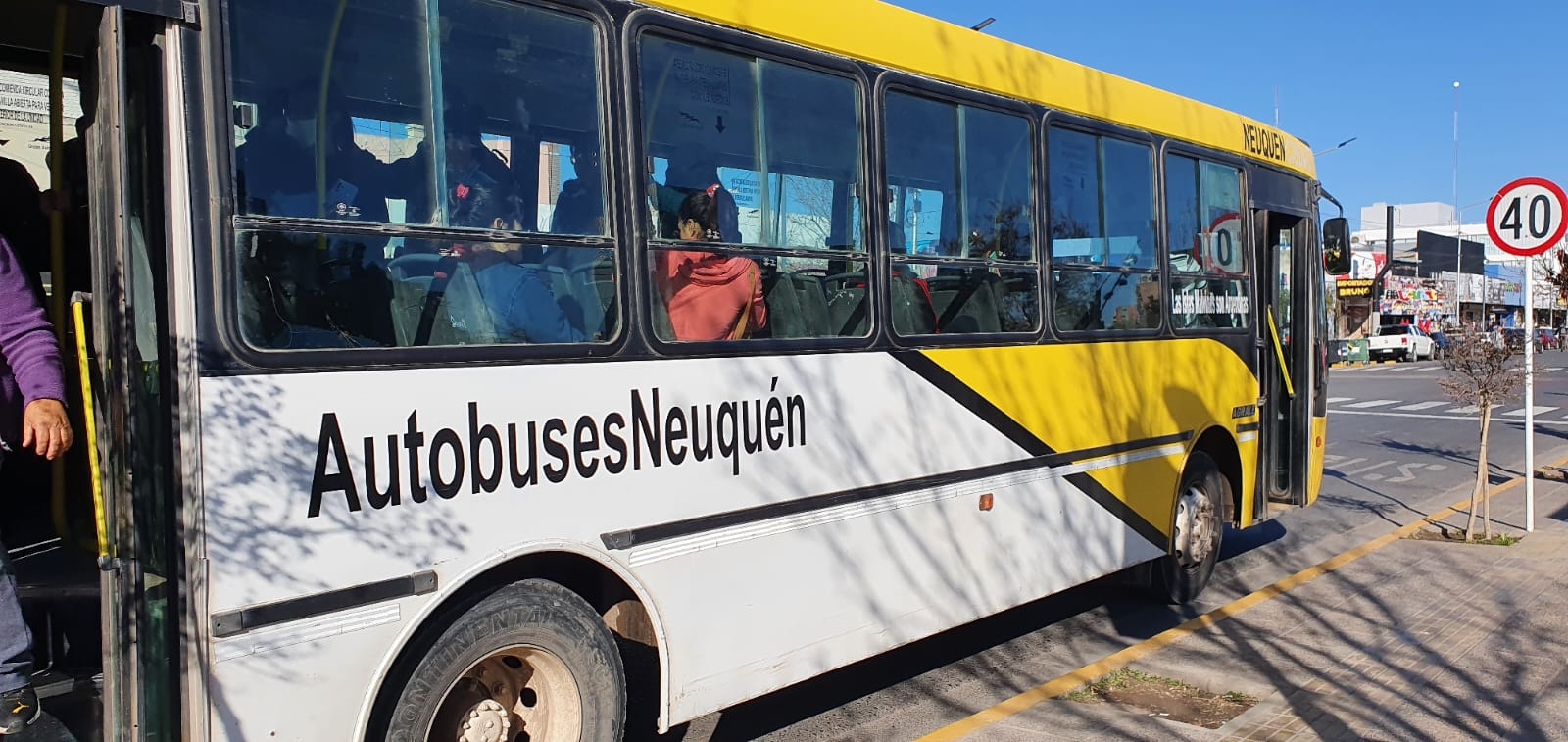 Autobuses Neuquén Fuente Javier Manzano (4)