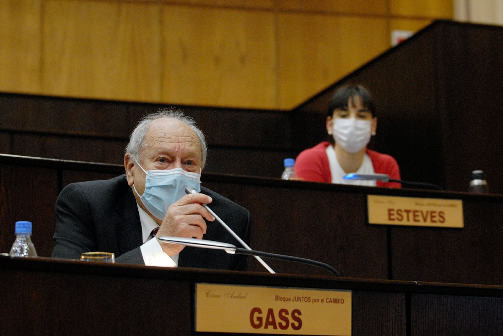 gass sobre peláez legislatura nqn