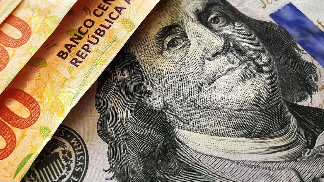 dolar record a242