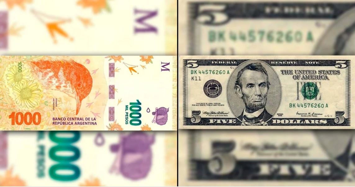 dolar record infobae2