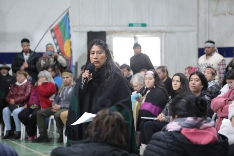 mapuches 1