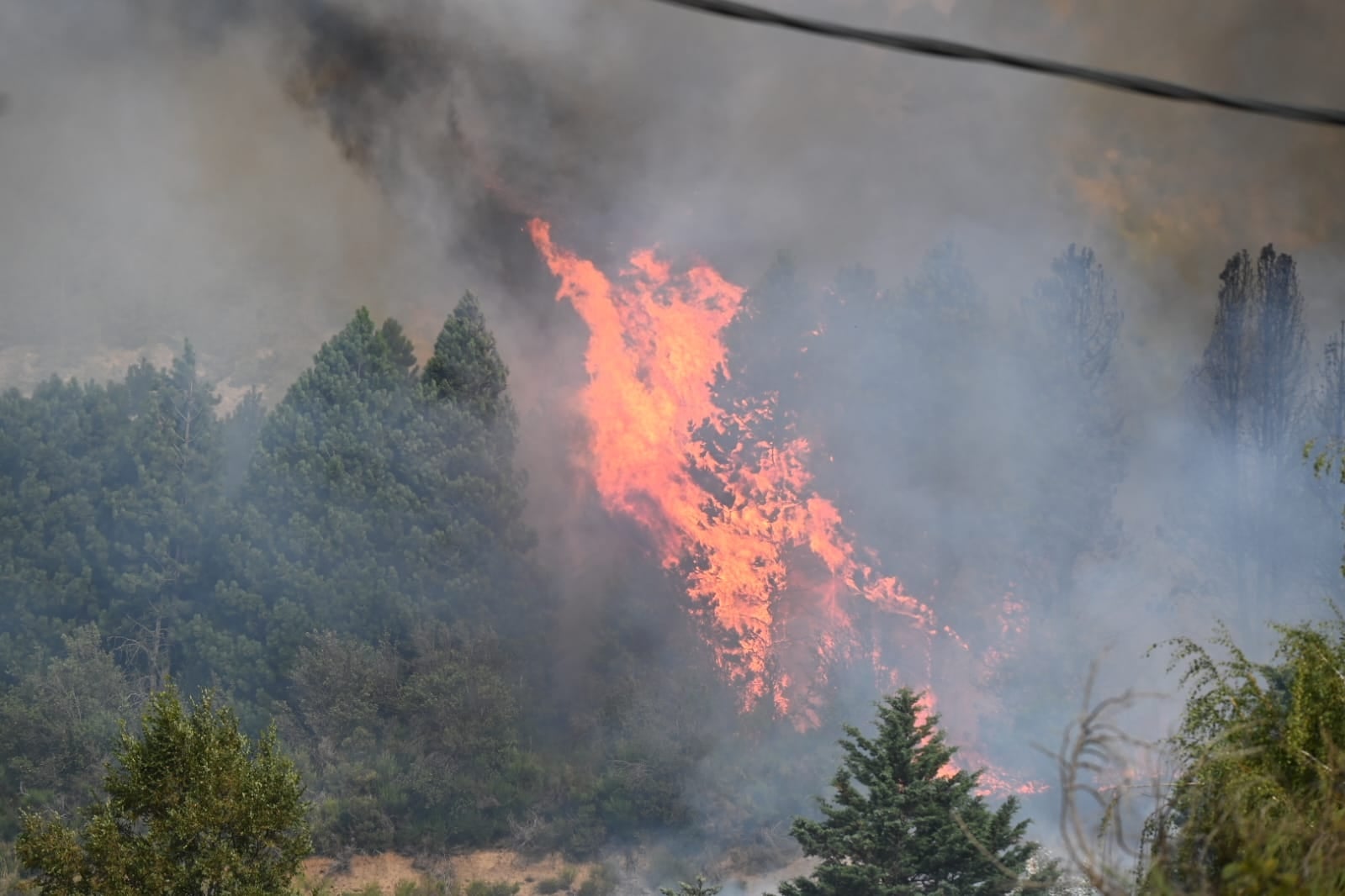 fuego sanma - Leo Casanova RSM 4