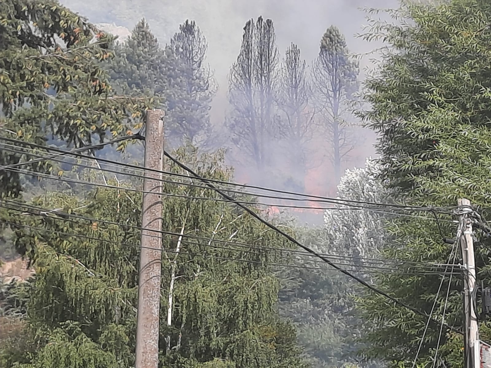 fuego sanma - Leo Casanova RSM 3