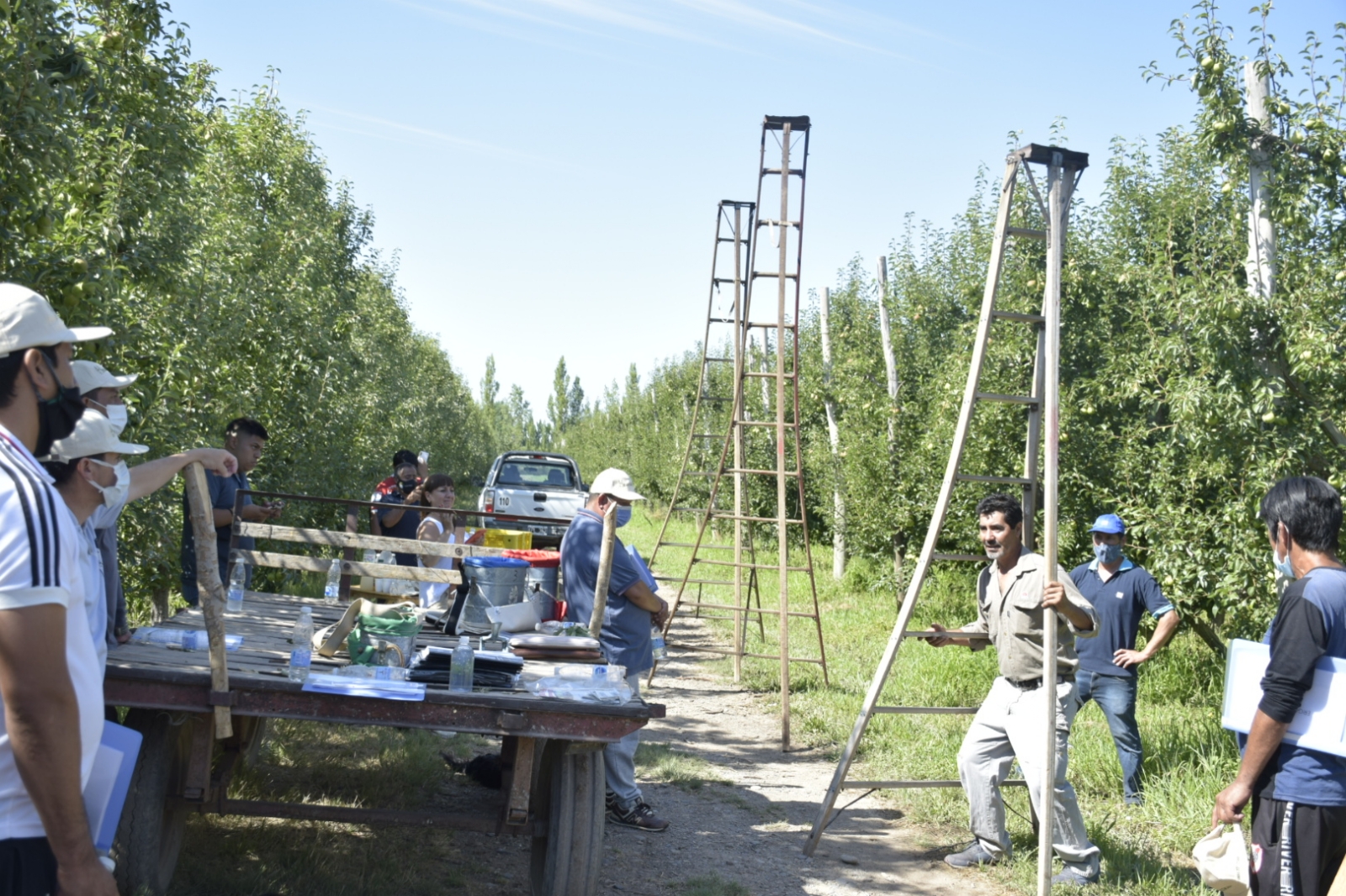 renatre trabajo rural infogremiales