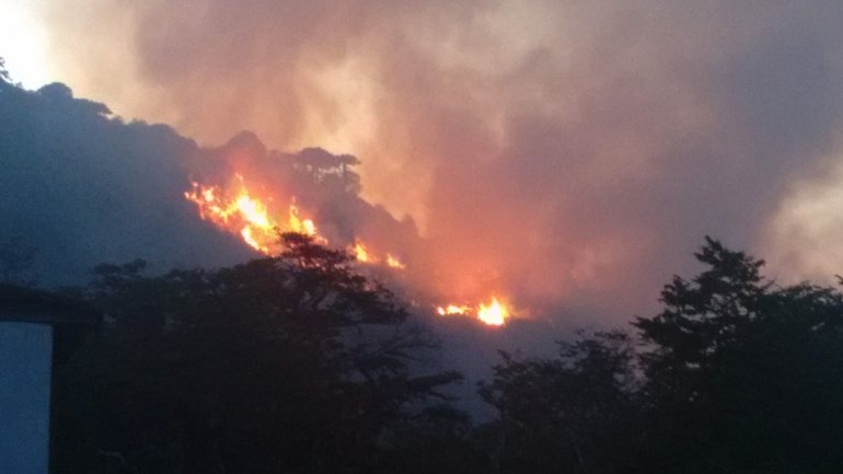 incendio moquehue realidad SanMartinense