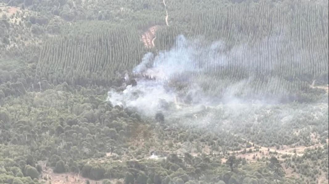 incendio moquehue LMNeuquen2