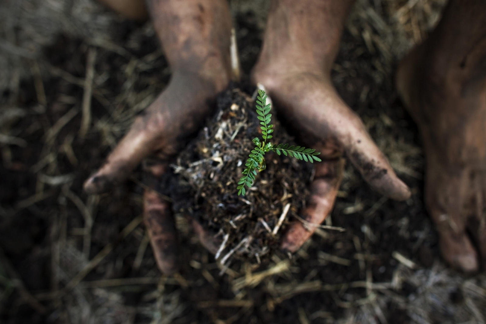 Conciencia ambiental