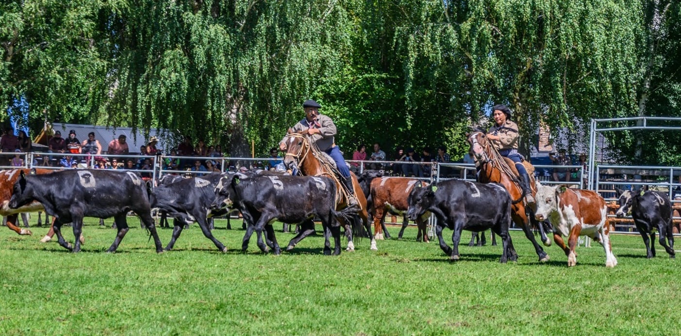 expo rural