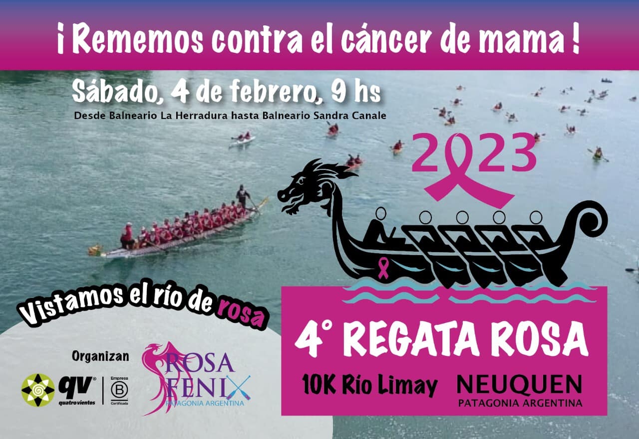 rosa fenix - facebook