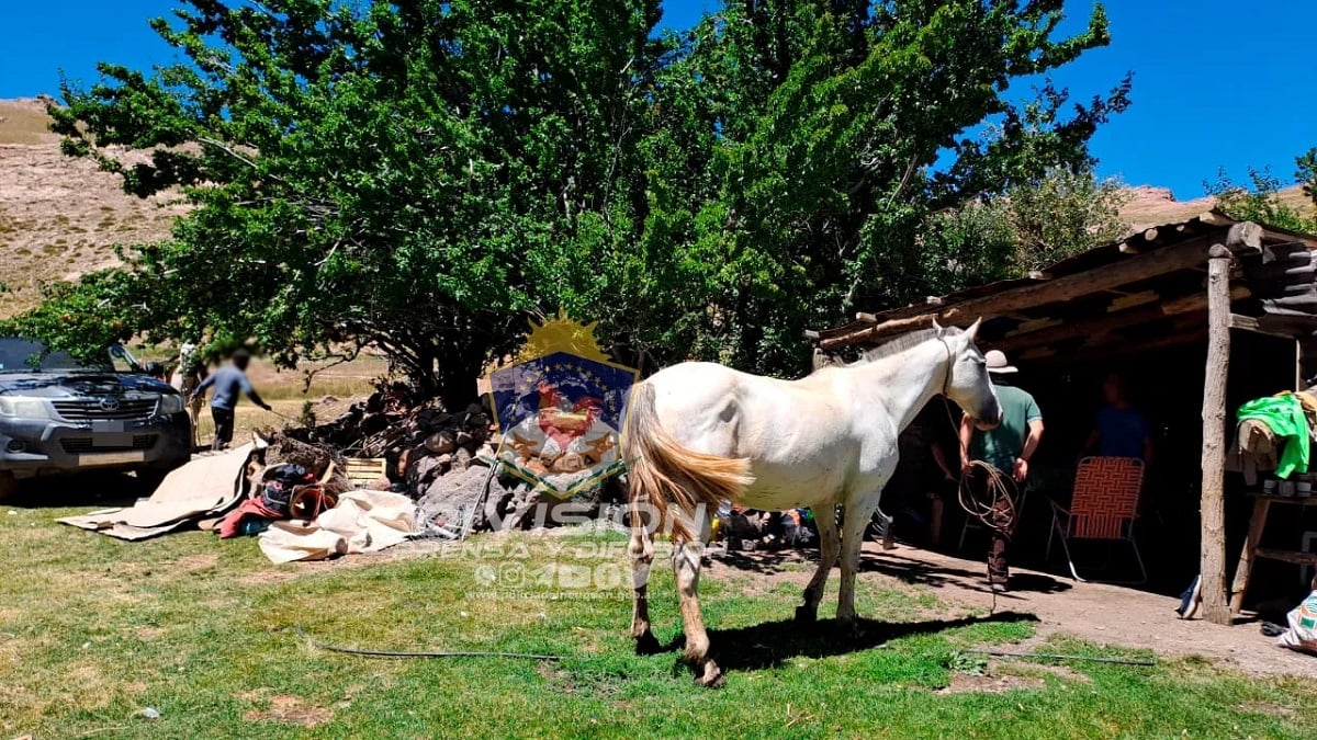 caballo robado en las ovejas apareció