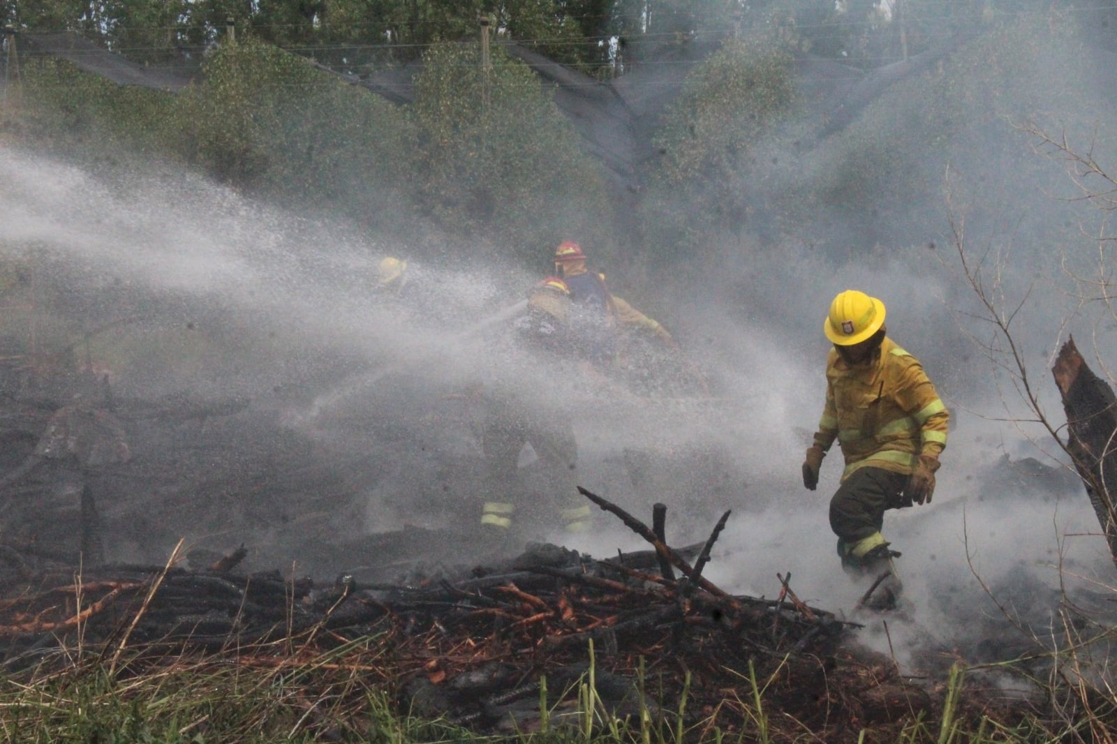 Incendio chacra de Moño Azul Bomberos Voluntarios de Centenario (2)