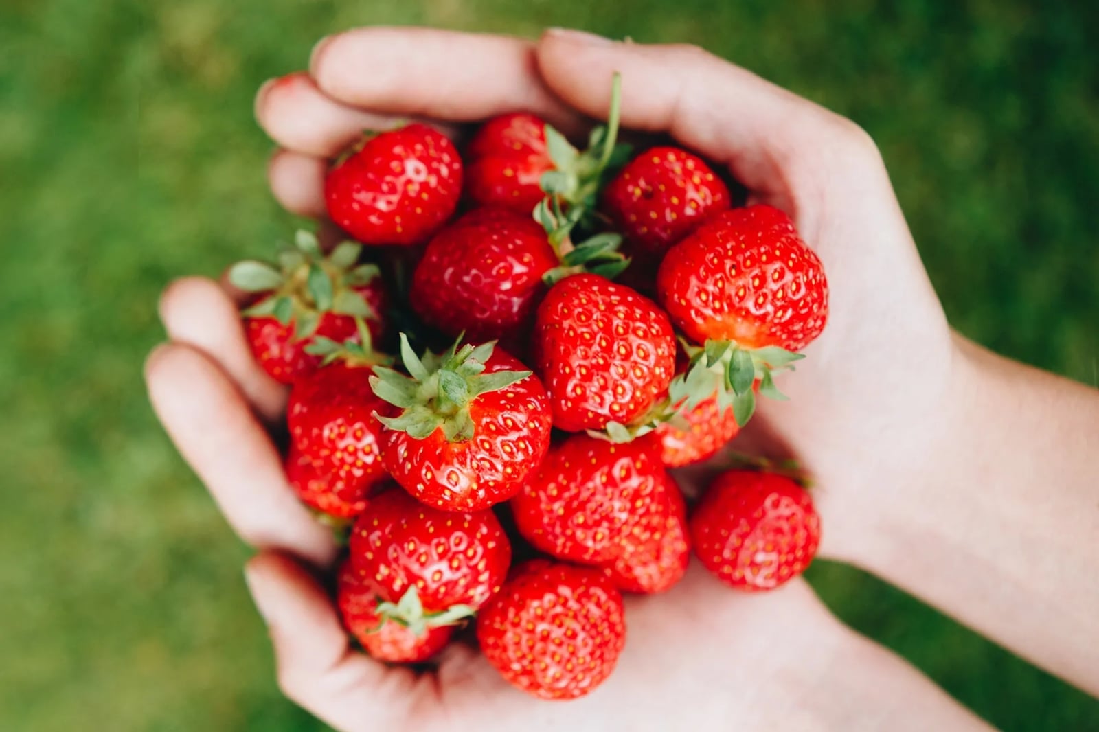 www.minutoneuquen.com.ar frutilla00
