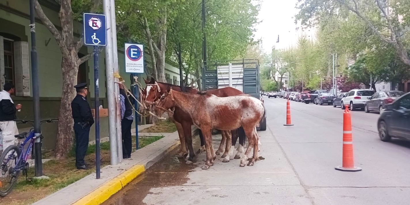 crianceros