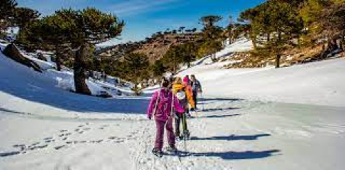 nieve - nqn informa 2