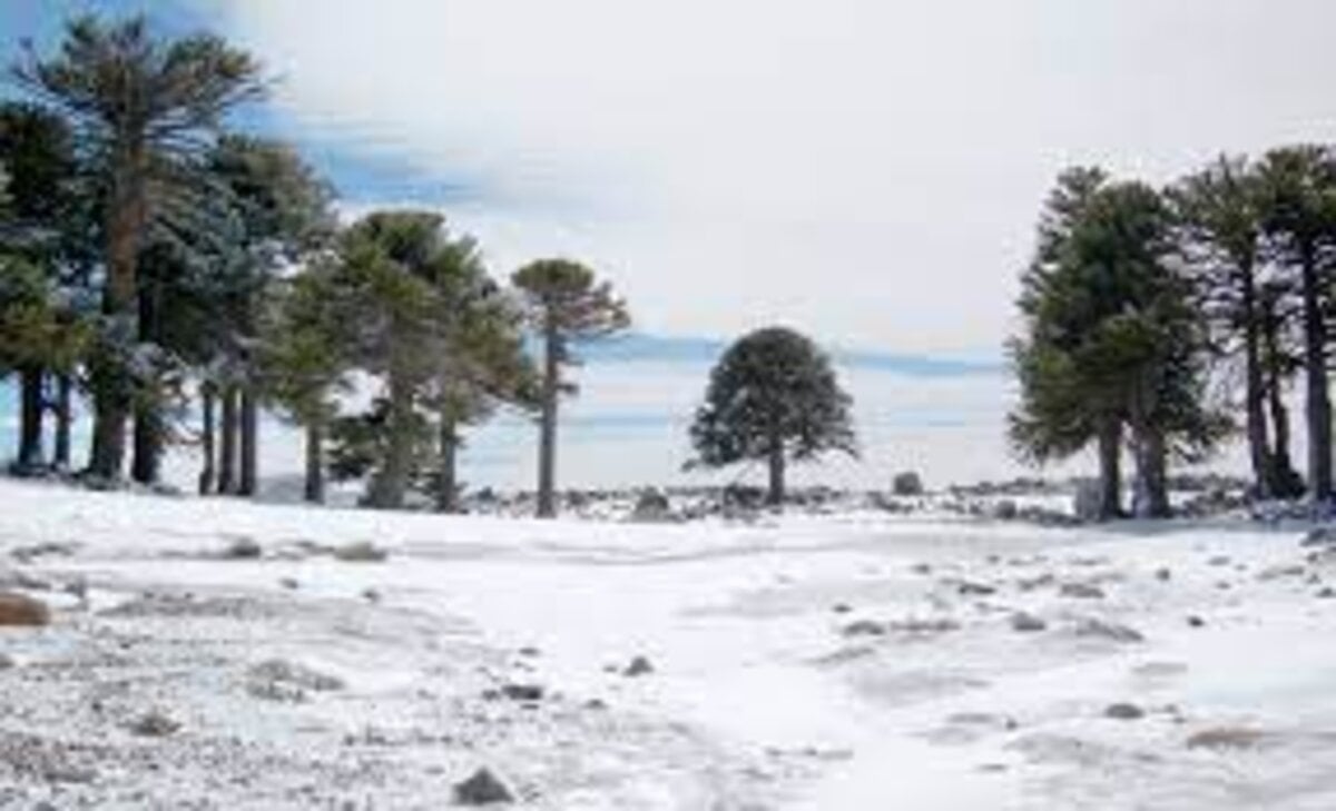 nieve - neuquén tur 4