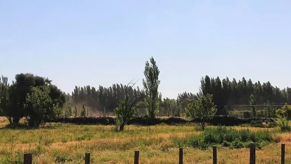 chacras - LMNeuquén 3