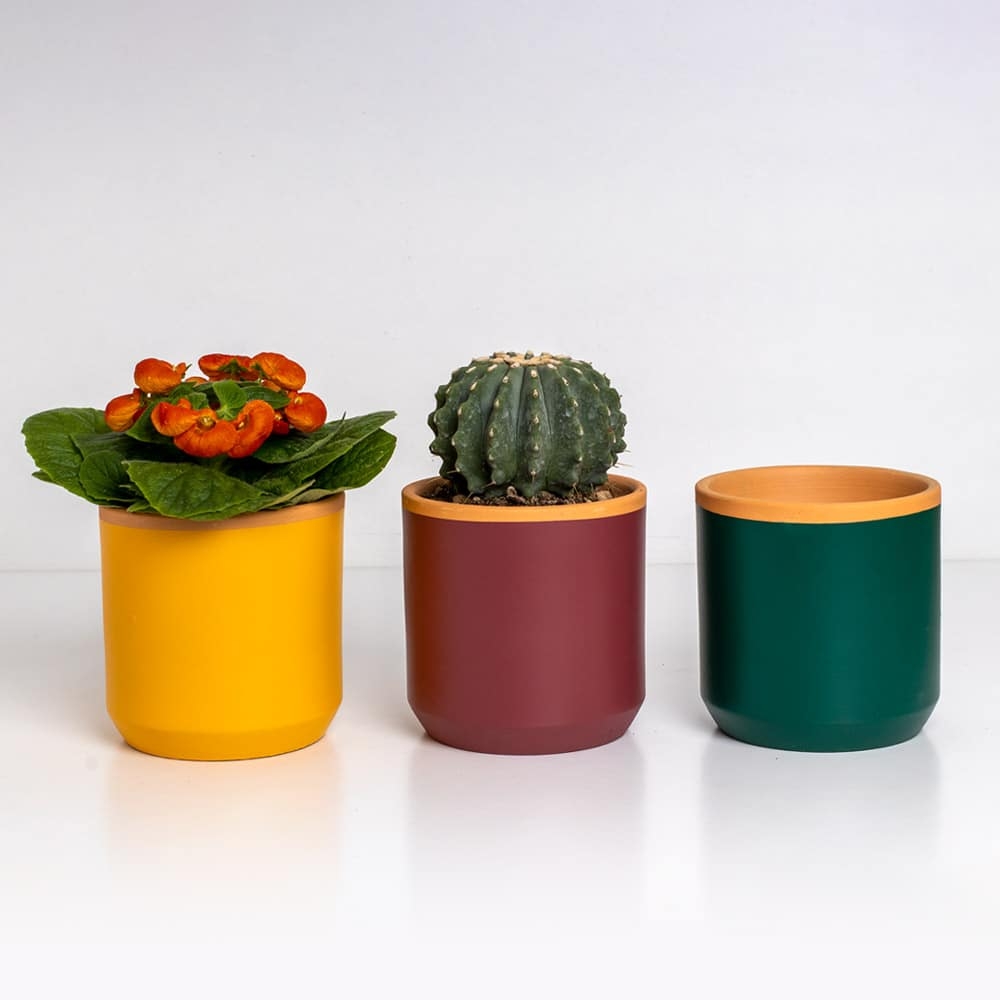 Maceteros-Resetea-2