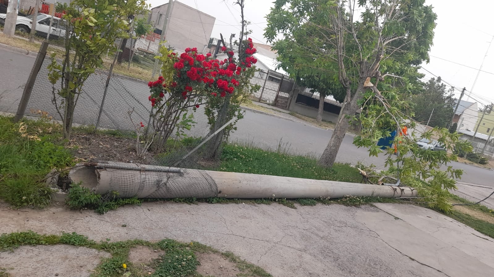 Imagen de WhatsApp 2023-10-28 a las 16.29.26_a1541722