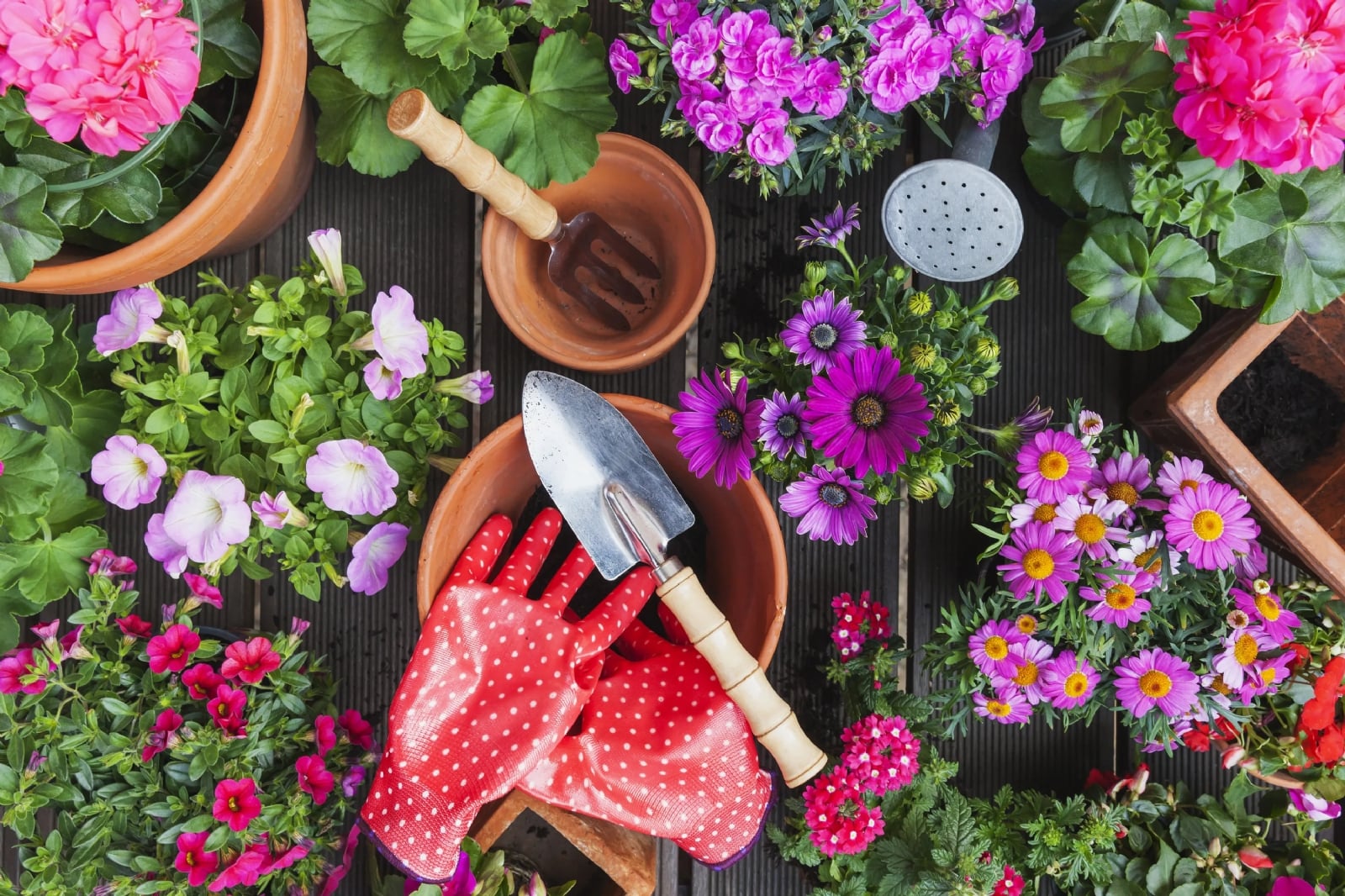 Herramientas-para-tus-plantas (1)