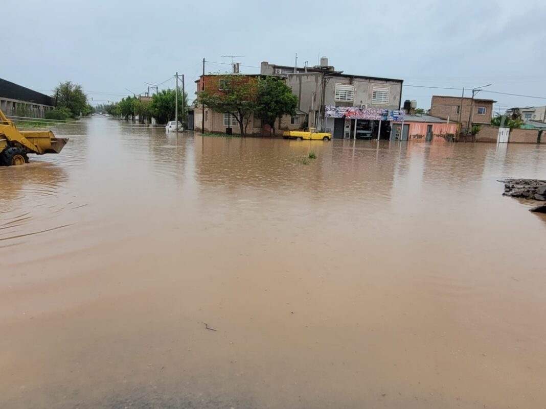 LLUVIA CENTENARIO