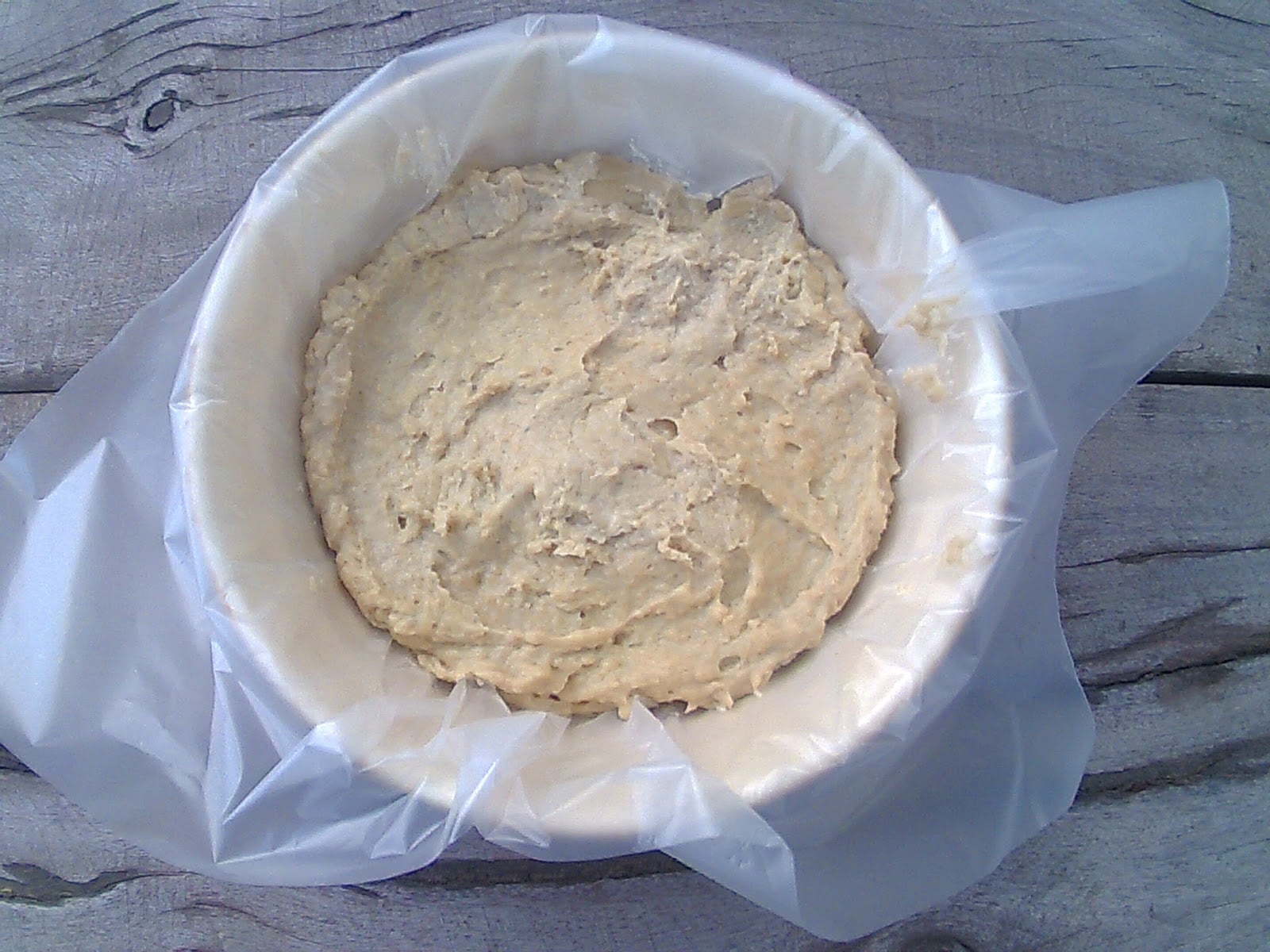 Queso de avena 2